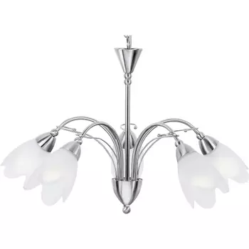 Подвесная люстра Petal A4905LM-5SS Arte Lamp