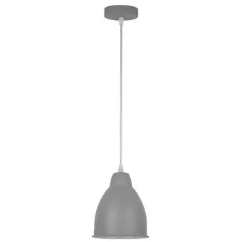 Подвесной светильник Arte Lamp Braccio A2054SP-1GY