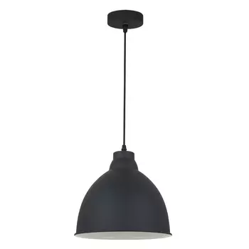 Подвесной светильник Arte Lamp Braccio A2055SP-1BK
