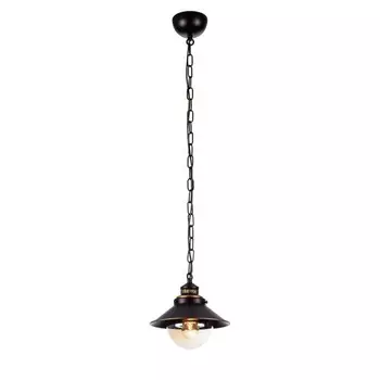 Подвесной светильник Arte Lamp Grazioso A4577SP-1CK