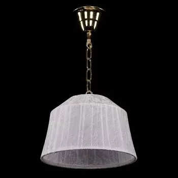 Подвесной светильник Bohemia Ivele 1950/25/G/SH41