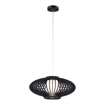 Подвесной светильник Carcassa A2938SP-1BR Arte Lamp