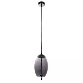 Подвесной светильник Cody A7769SP-1BC Arte Lamp