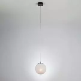 Подвесной светильник Eurosvet Globe 70069/1 хром/черный