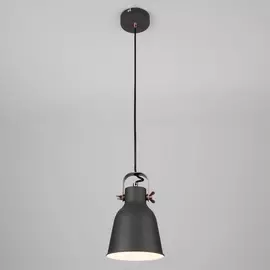 Подвесной светильник Eurosvet Projector 50083/1 черный