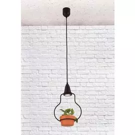 Подвесной светильник Loft IT 6969/1А