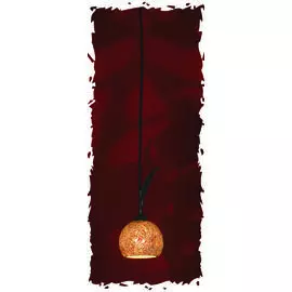 Подвесной светильник Lussole Bagheria LSF-6206-01