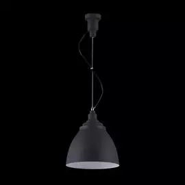 Подвесной светильник Maytoni Pendant P534PL-01B