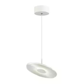 Подвесной светильник Odeon Light Ellen 4107/12L