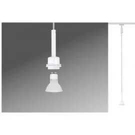 Подвесной светильник Paulmann Basic 95014