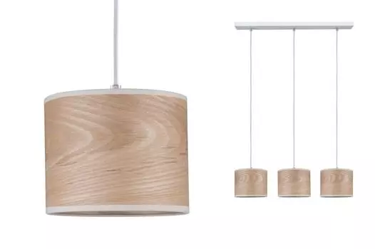 Подвесной светильник Paulmann Neta 79641