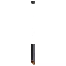 Подвесной светильник Pilon-gold A1536SP-1BK Arte Lamp