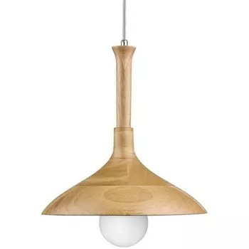 Подвесной светильник Plato WE503.01.716 Wertmark