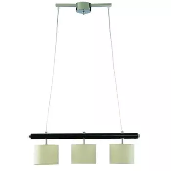 Подвесной светильник Woods A1038SP-3BK Arte Lamp