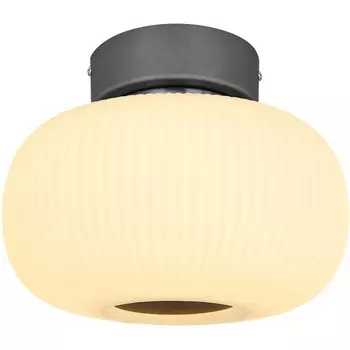 Потолочная люстра Boomer 15437D Globo