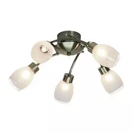 Потолочная люстра Brilliant Gerda G94305/31