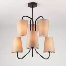 Потолочная люстра Eurosvet Loretta 70060/6 черный