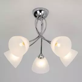 Потолочная люстра Eurosvet Nika 30117/5 хром