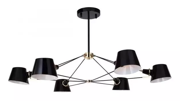 Потолочная люстра Favourite Eimer 1512-6P