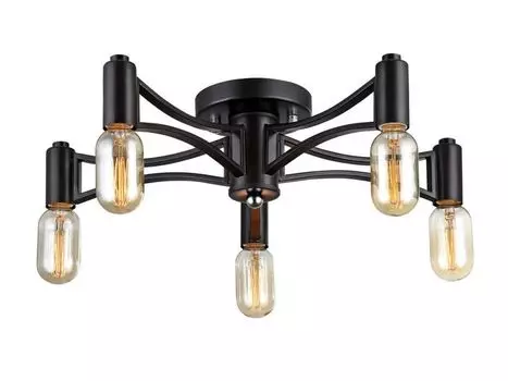 Потолочная люстра Favourite Tropfen 1523-5U