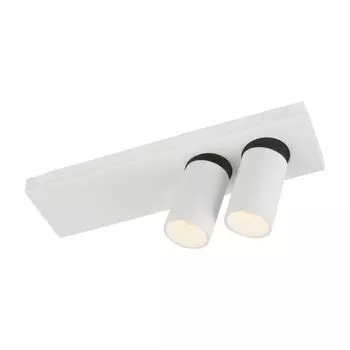 Потолочная люстра Globo Luwin I 55004-22