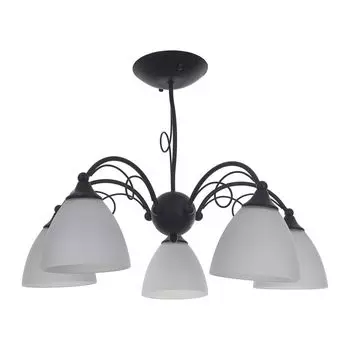 Потолочная люстра IDLamp Elettra 881/5PF-Argentoscuro