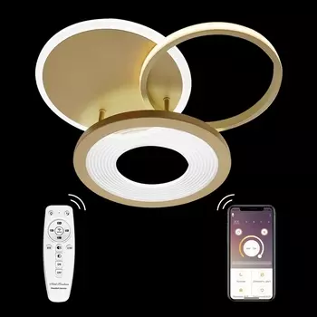 Потолочная люстра LED LAMPS LED LAMPS 81300 Natali Kovaltseva