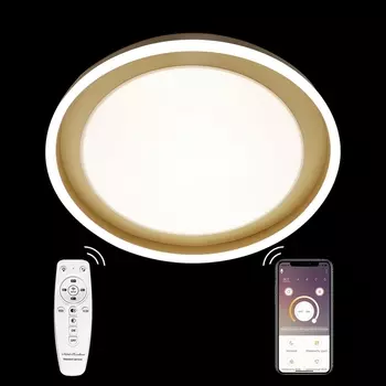 Потолочная люстра LED LAMPS LED LAMPS 81301 Natali Kovaltseva