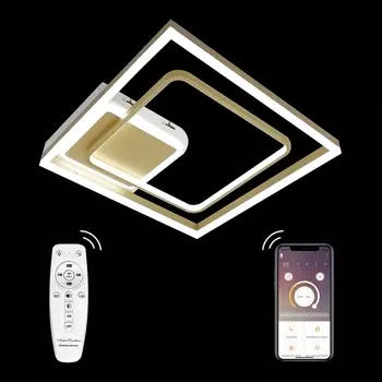 Потолочная люстра LED LAMPS LED LAMPS 81309 Natali Kovaltseva