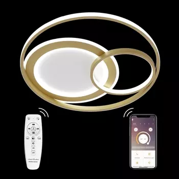 Потолочная люстра LED LAMPS LED LAMPS 81312 Natali Kovaltseva