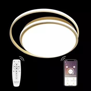 Потолочная люстра LED LAMPS LED LAMPS 81315 Natali Kovaltseva