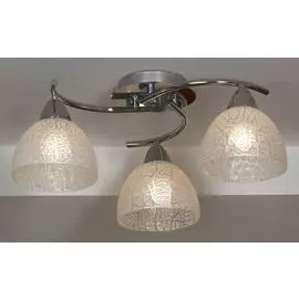 Потолочная люстра Lussole Zungoli LSF-1603-03