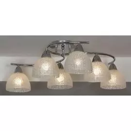 Потолочная люстра Lussole Zungoli LSF-1603-06