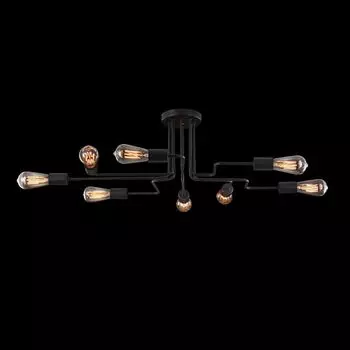 Потолочная люстра Maytoni Loft T532CL-12B