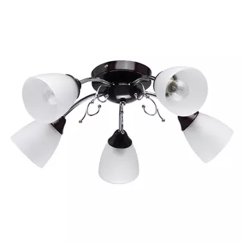 Потолочная люстра Нежность 676015005 MW-Light