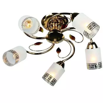 Потолочная люстра Omnilux OML-36817-05