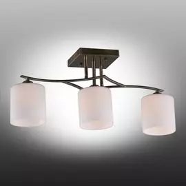 Потолочная люстра Pisticci OML-55317-03 Omnilux