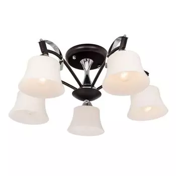 Потолочная люстра Silver Light Assol 231.59.5