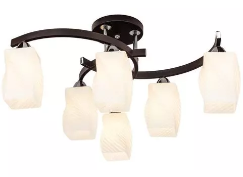 Потолочная люстра Silver Light Bertuccio 219.59.6