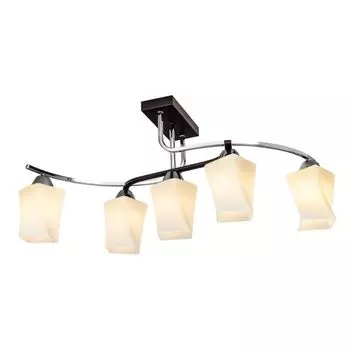 Потолочная люстра Silver Light Dessin 110.59.5