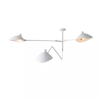 Потолочная люстра Spruzzo SL305.502.03 ST Luce