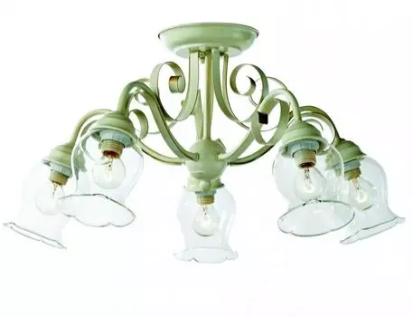 Потолочная люстра ST Luce Stelia SL145.502.05