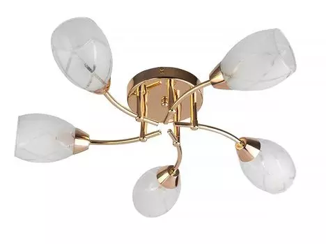 Потолочная люстра Toplight Lucy TL7120X-05FG