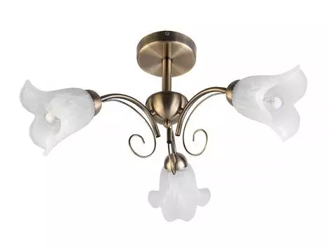 Потолочная люстра Toplight Magdalene TL3490X-03AB