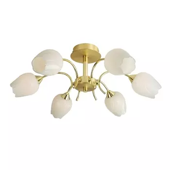 Потолочная люстра Tulip A8292PL-6PB Arte Lamp