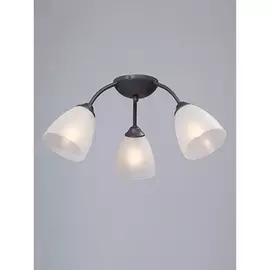 Потолочная люстра V3737-2/3PL Vitaluce