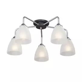 Потолочная люстра V4500-9/5PL Vitaluce