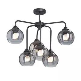 Потолочная люстра V4553-1/6PL Vitaluce
