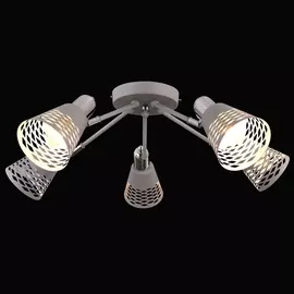 Потолочная люстра Vision VISION 75096/5C GRAY Natali Kovaltseva