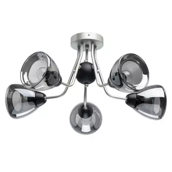 Потолочная люстра Вита 220012605 MW-Light